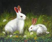 Rabbit unknow artist